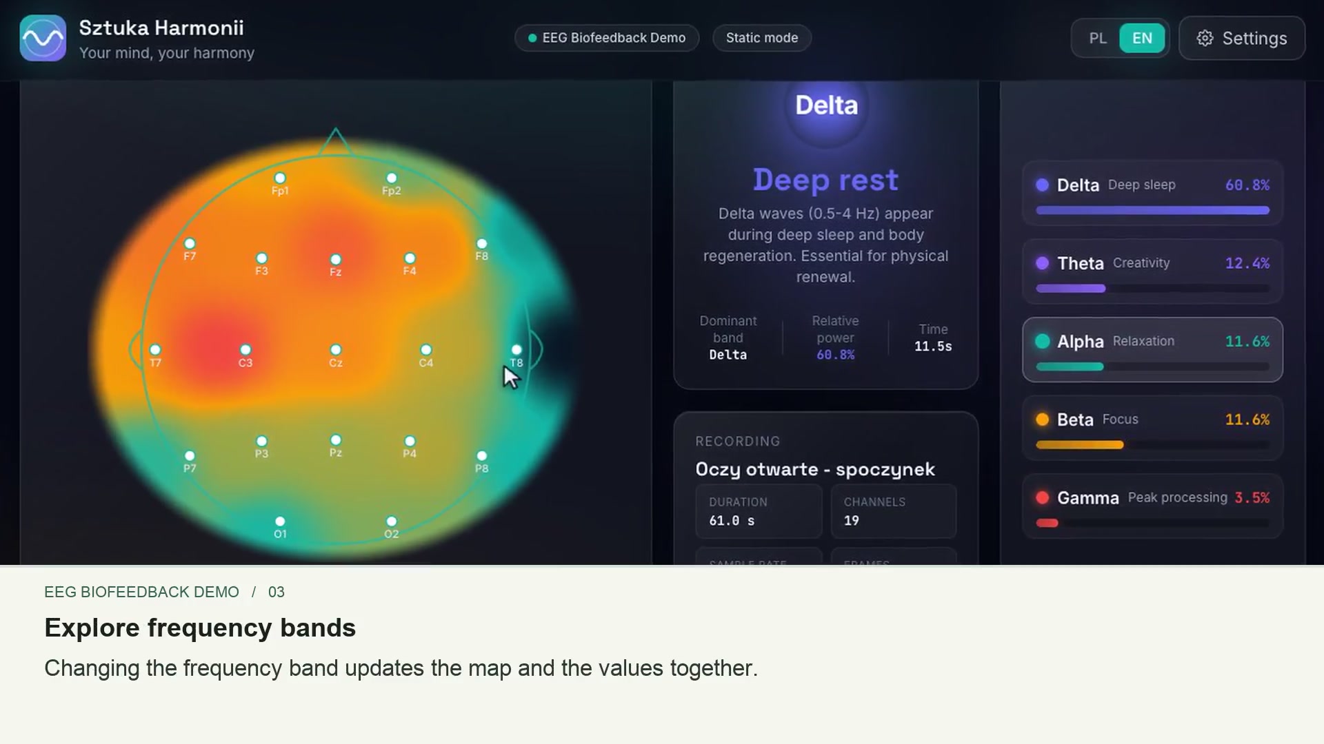 EEG biofeedback demo interface