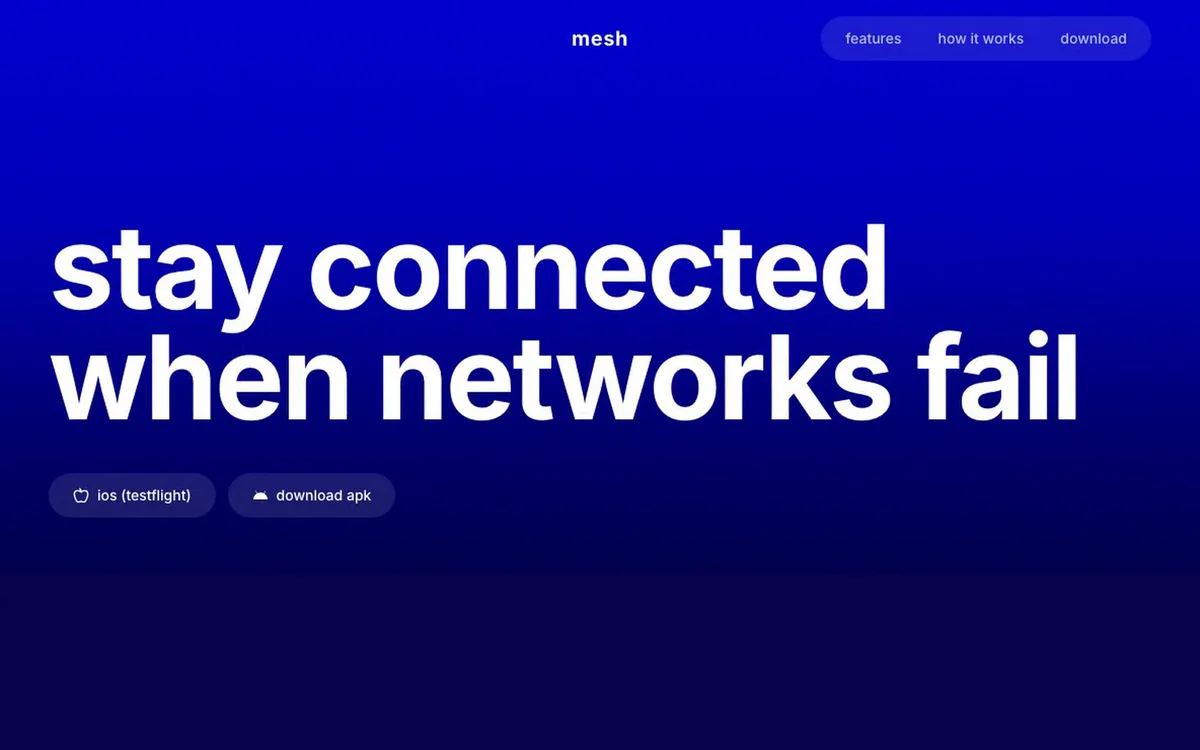 Mesh interface preview