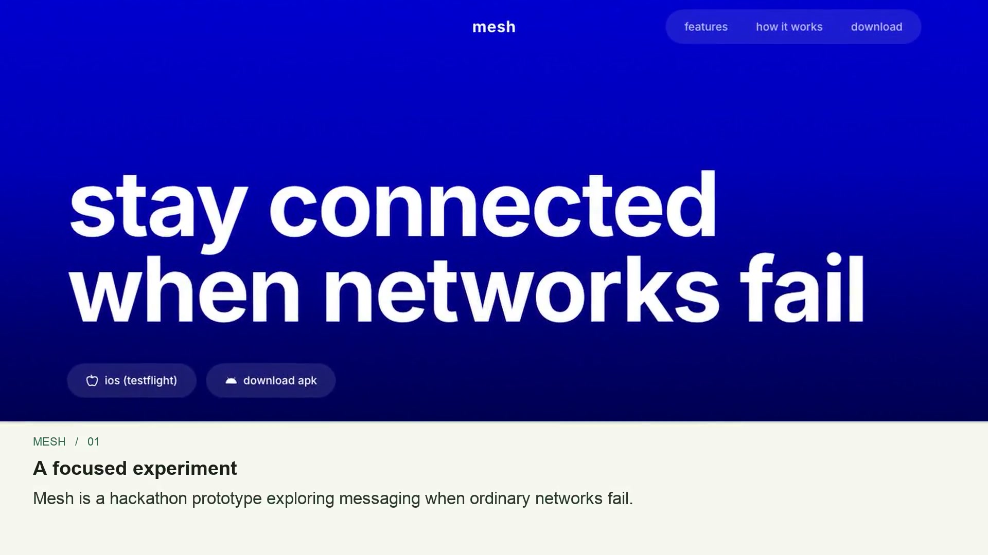 Mesh interface