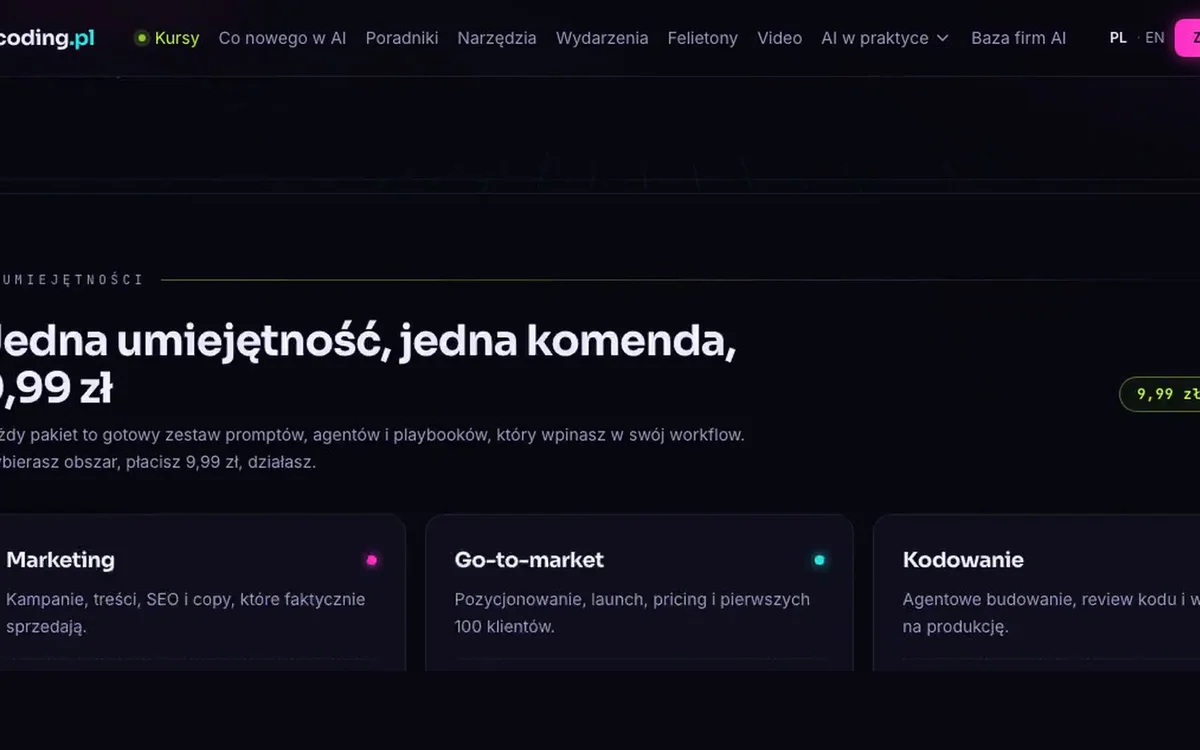 vibecoding.pl interface preview
